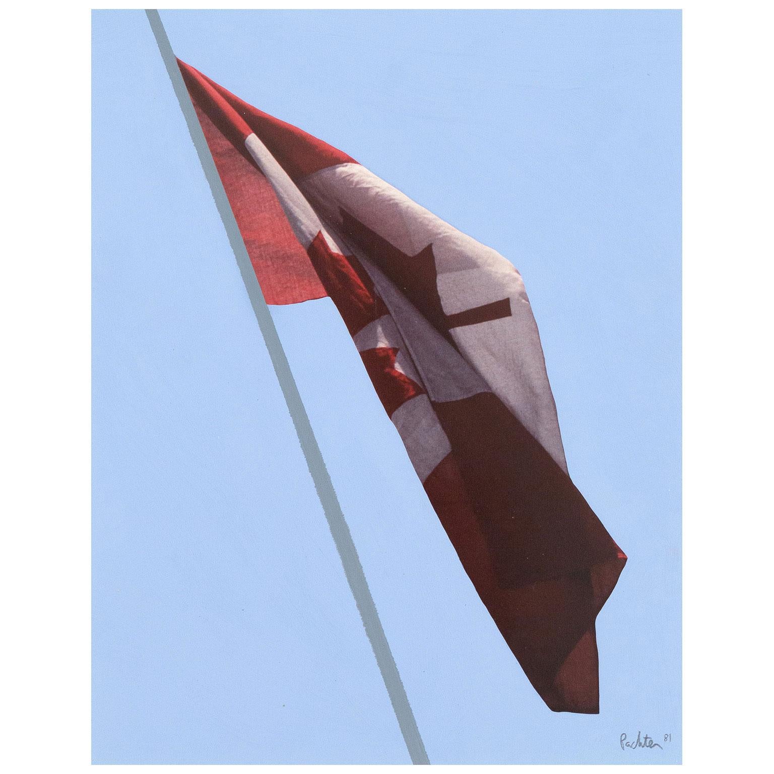 Charles Pachter (nato nel 1942) è uno degli artisti canadesi più collezionati e apprezzati. Le sue immagini edificanti e patriottiche si sono guadagnate autonomamente un posto nei musei della nazione da una costa all'altra.

Nella primavera del