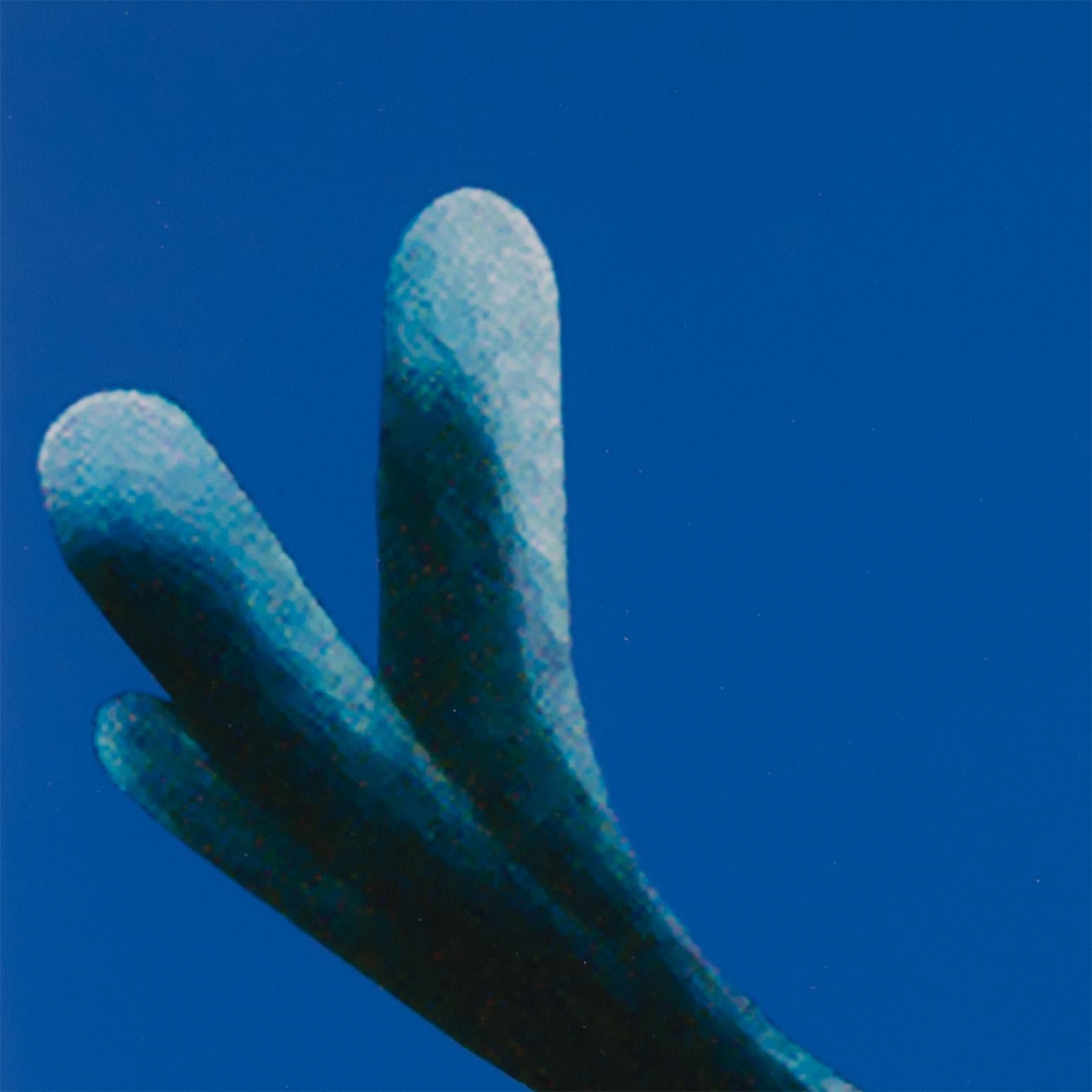 Charles Pachter (b. 1942) is one of the most collected and cherished Canadian artists. 

His iconic, uplifting, and patriotic images have independently earned their place in the nation's museums.

For the uninitiated, his work is accessible and