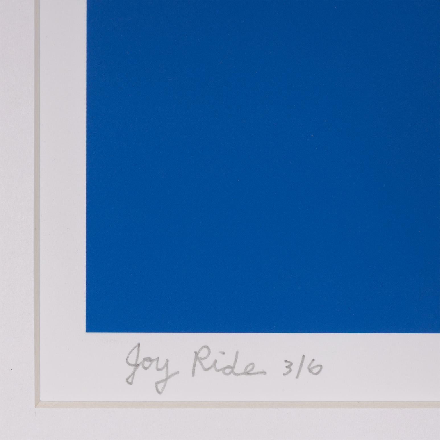 Joy Ride For Sale 2