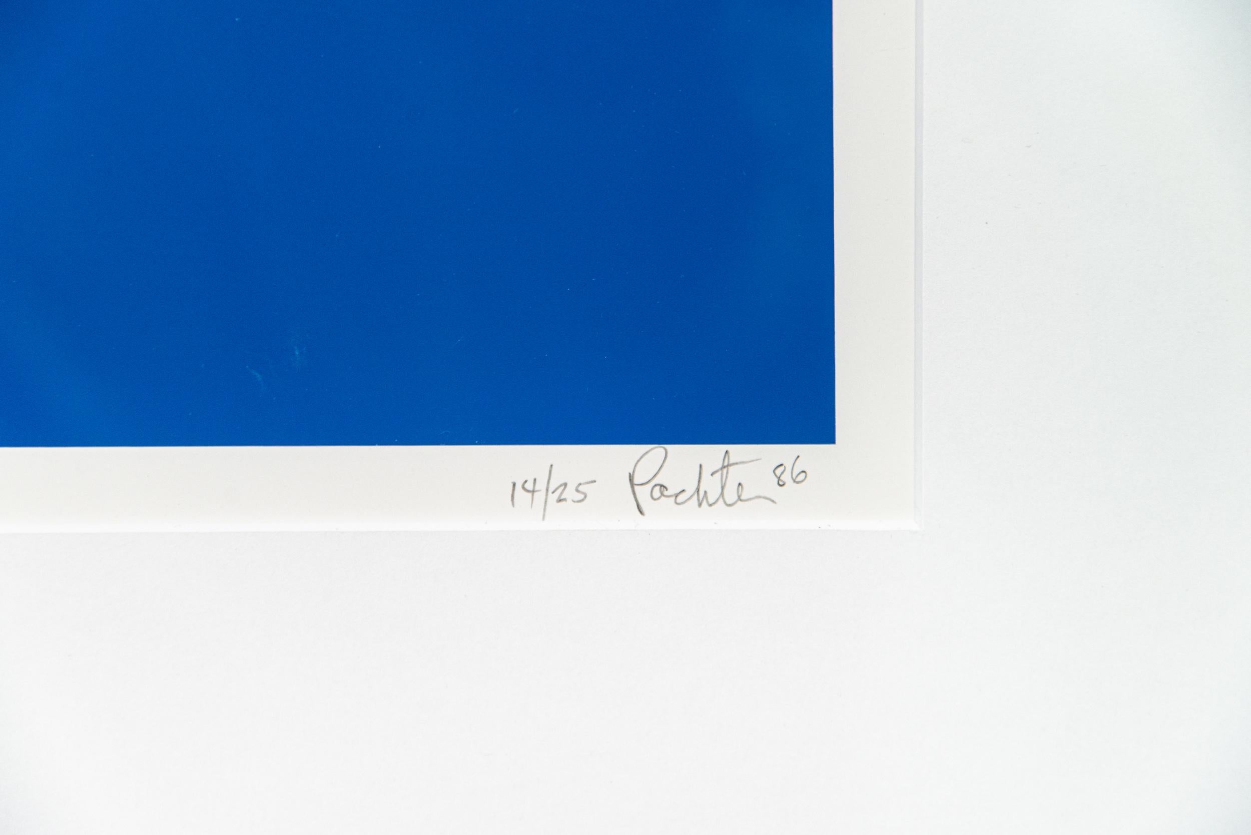 Painted Flag: Vertical Blue 14/25 - contemporary, pop-art, silkscreen print - Contemporary Print by Charles Pachter