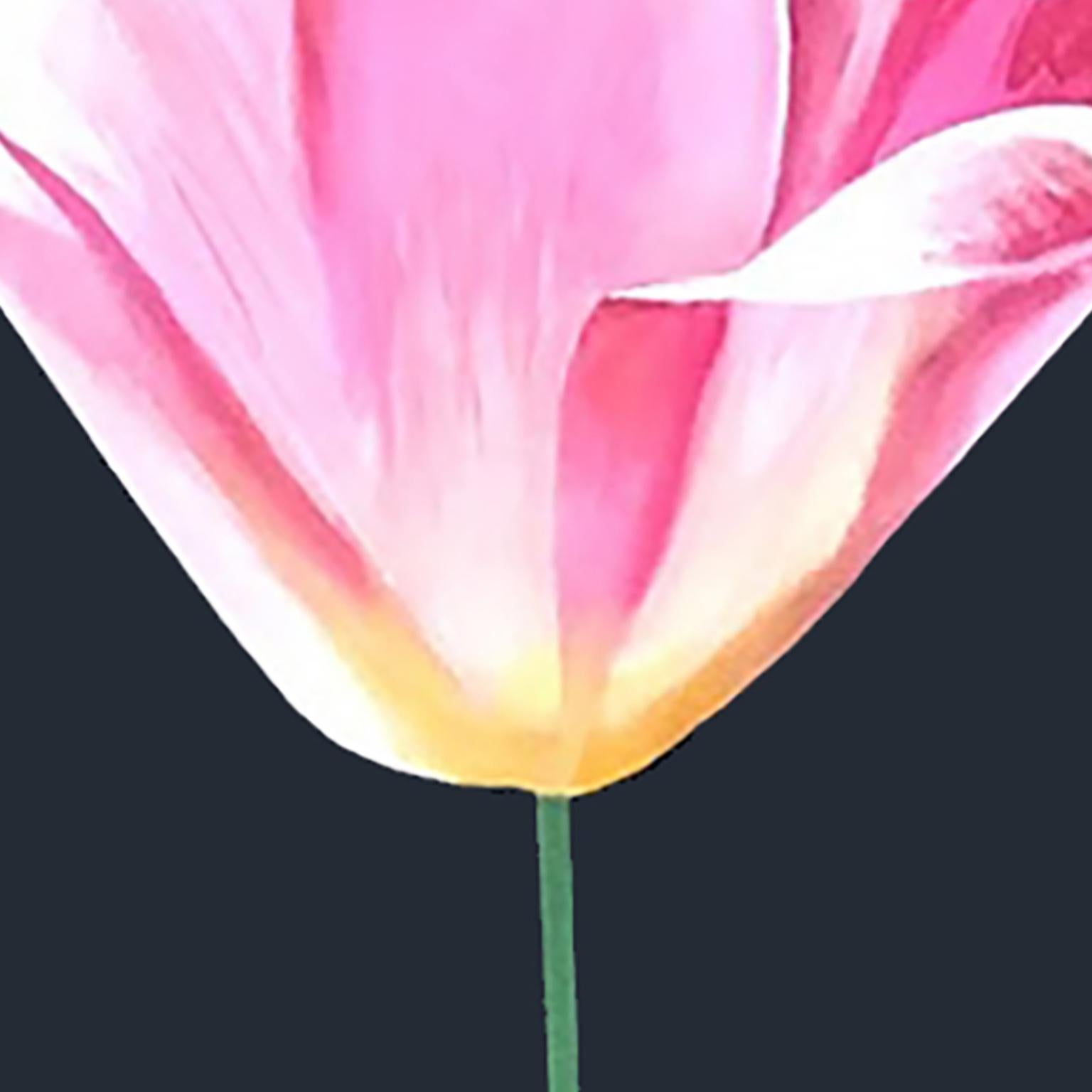 Tulipe rose - Noir Still-Life Print par Charles Pachter