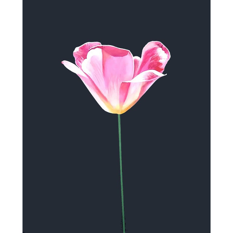Charles Pachter Pink Tulip For Sale at 1stDibs