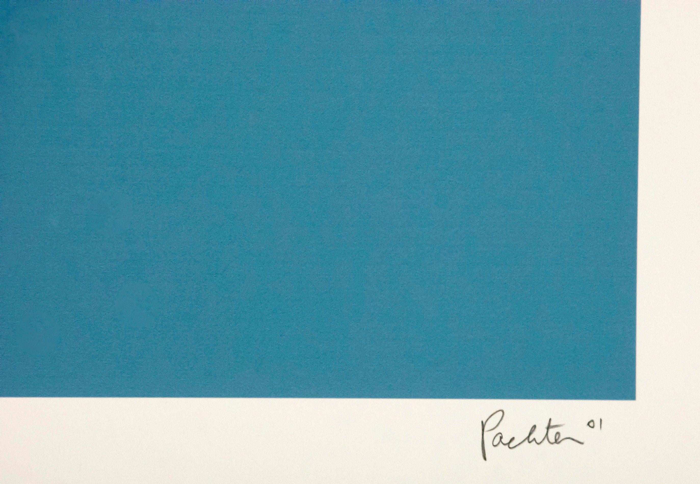 Side By Side 6/8 - stampa giclée luminosa, colorata, politica, bandiera, Canada, USA in vendita 1