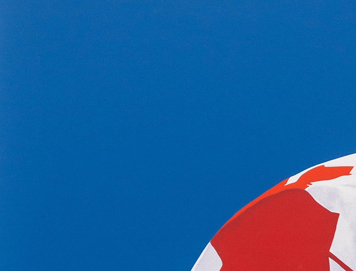 The Painted Flag print ed 16/25 - contemporary, pop-art, lithograph print en vente 1