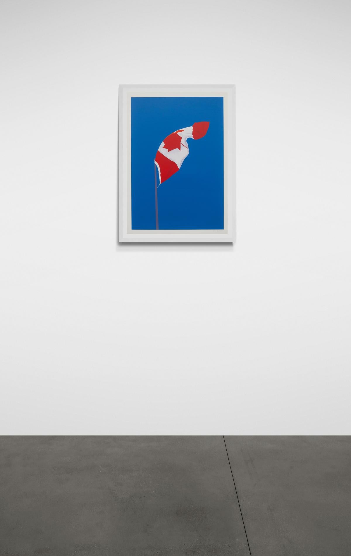 The Painted Flag print ed 16/25 - contemporary, pop-art, lithograph print en vente 2