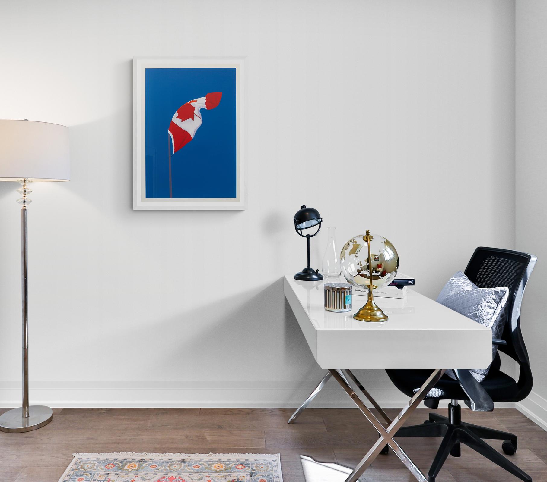 The Painted Flag print ed 16/25 - contemporary, pop-art, lithograph print en vente 3