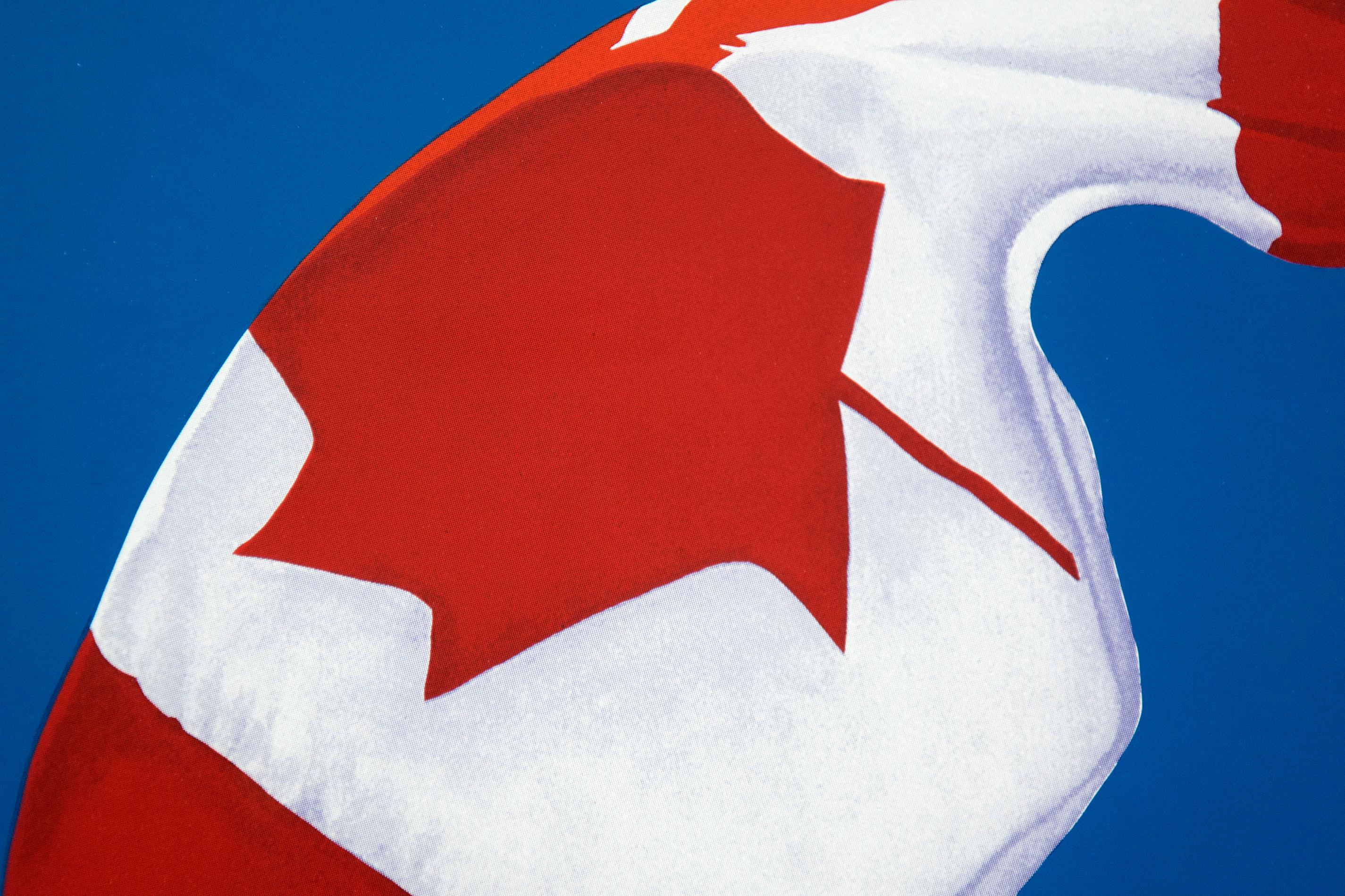 The Painted Flag print ed 17/25 - contemporary, pop-art, lithograph print - Contemporary Print by Charles Pachter