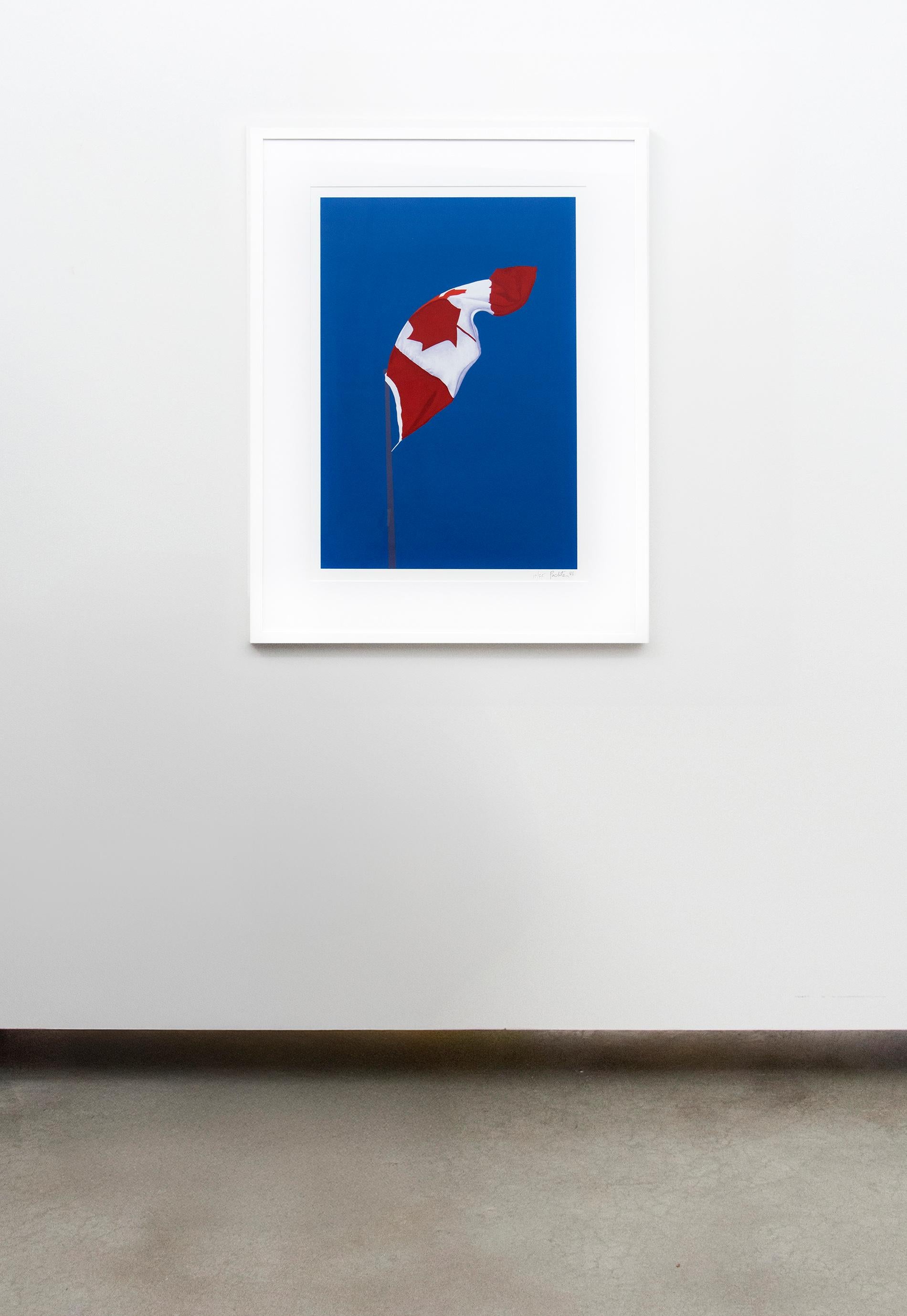 The Painted Flag print ed 17/25 - contemporary, pop-art, lithograph print For Sale 2