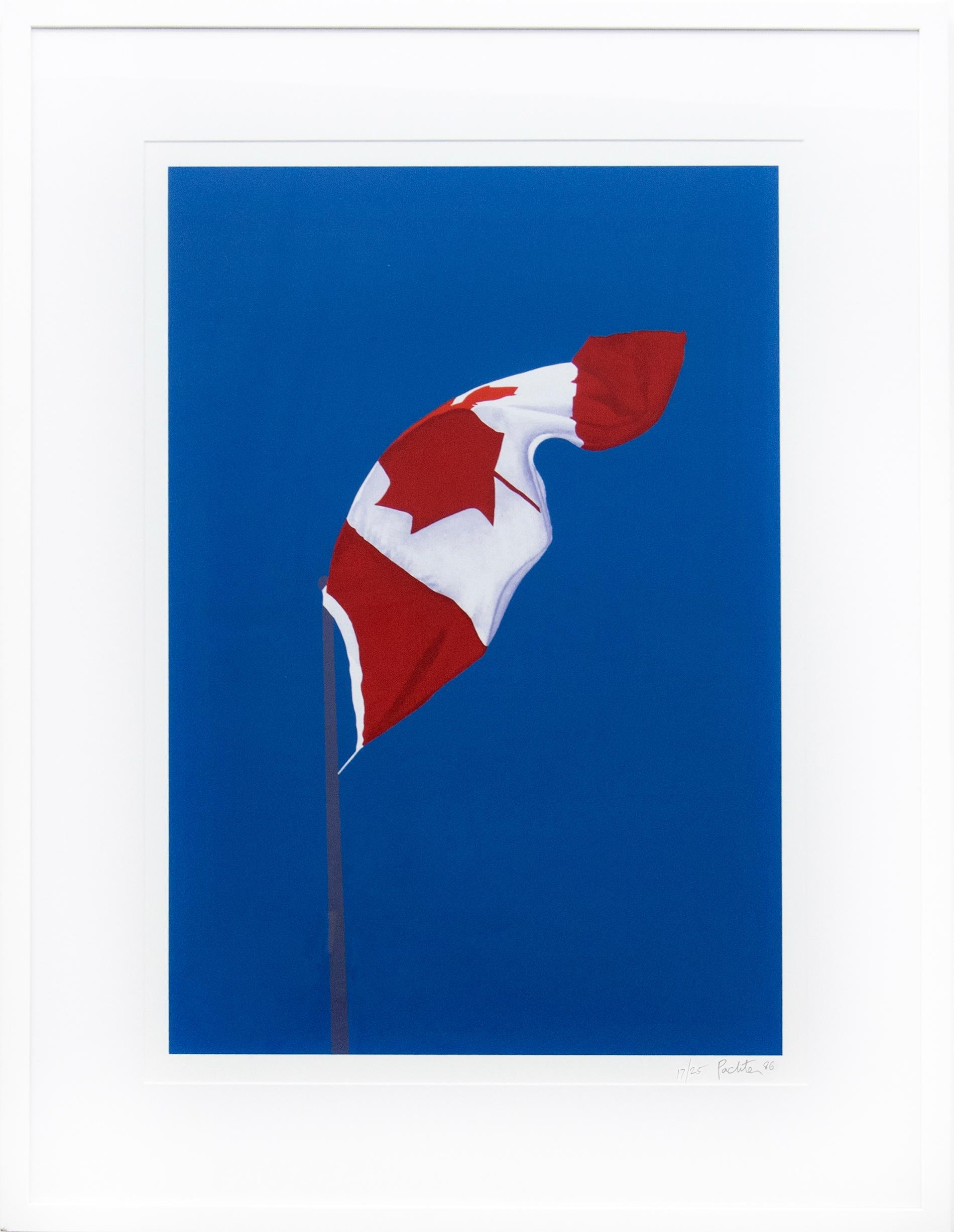 Charles Pachter Figurative Print - The Painted Flag print ed 17/25 - contemporary, pop-art, lithograph print