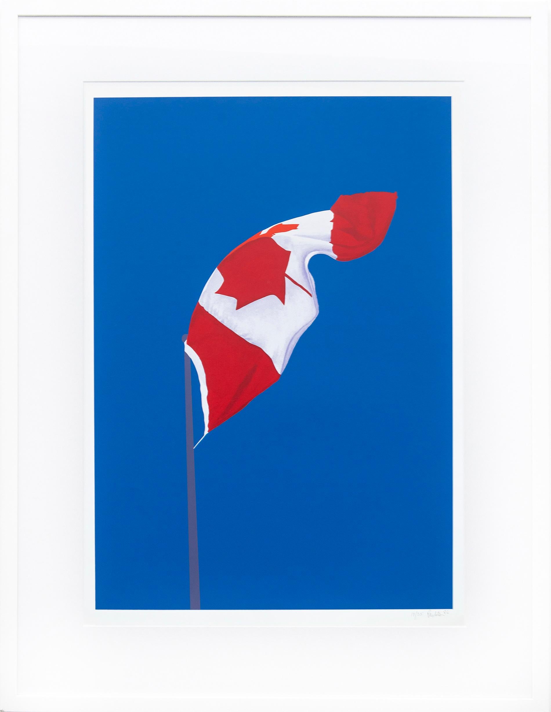 The Painted Flag print ed 19/25 - work on paper, lithograph