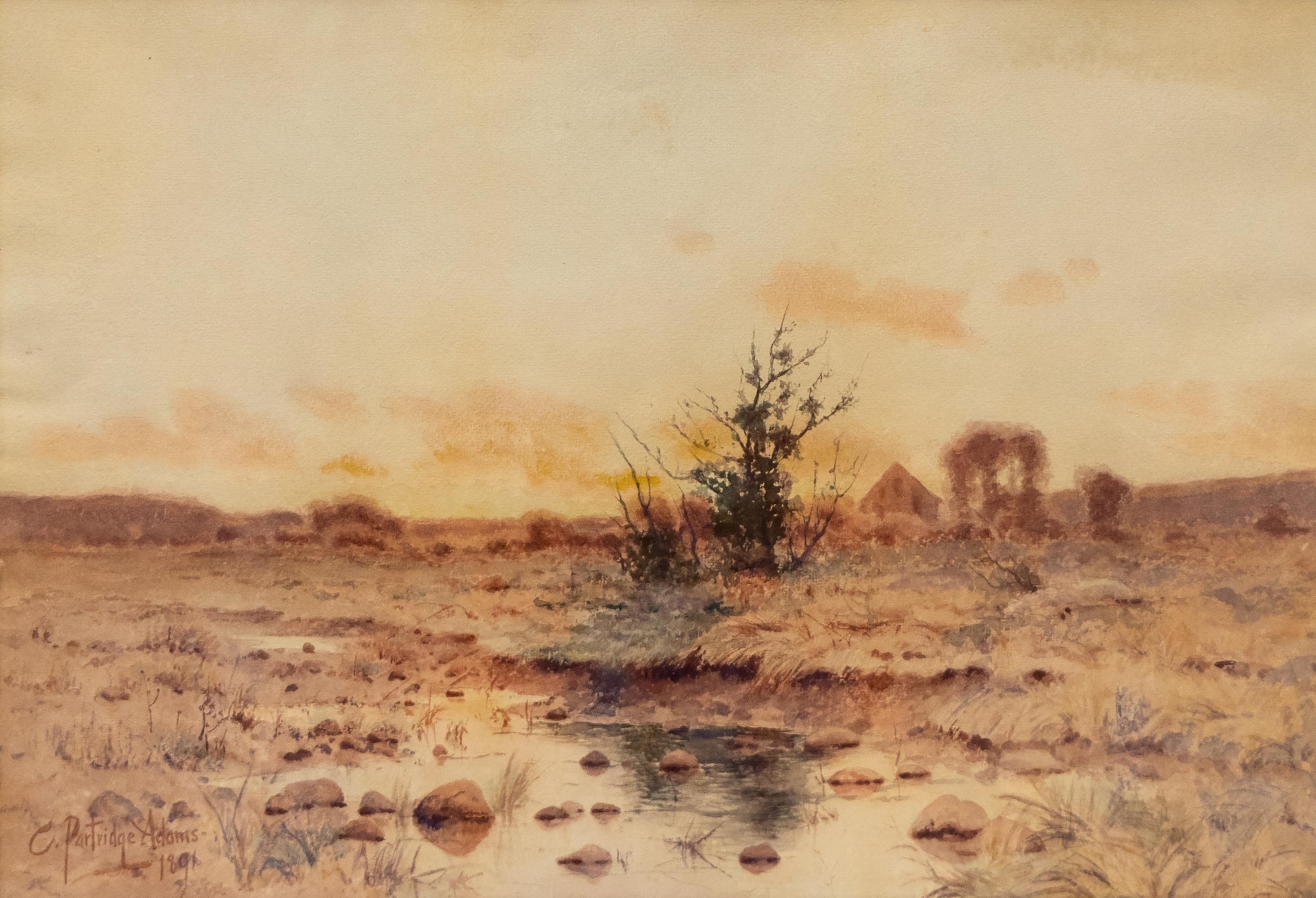 Paysage en aquarelle des années 1890 - Lever de soleil et fleurs de printemps sur la rivière Platte