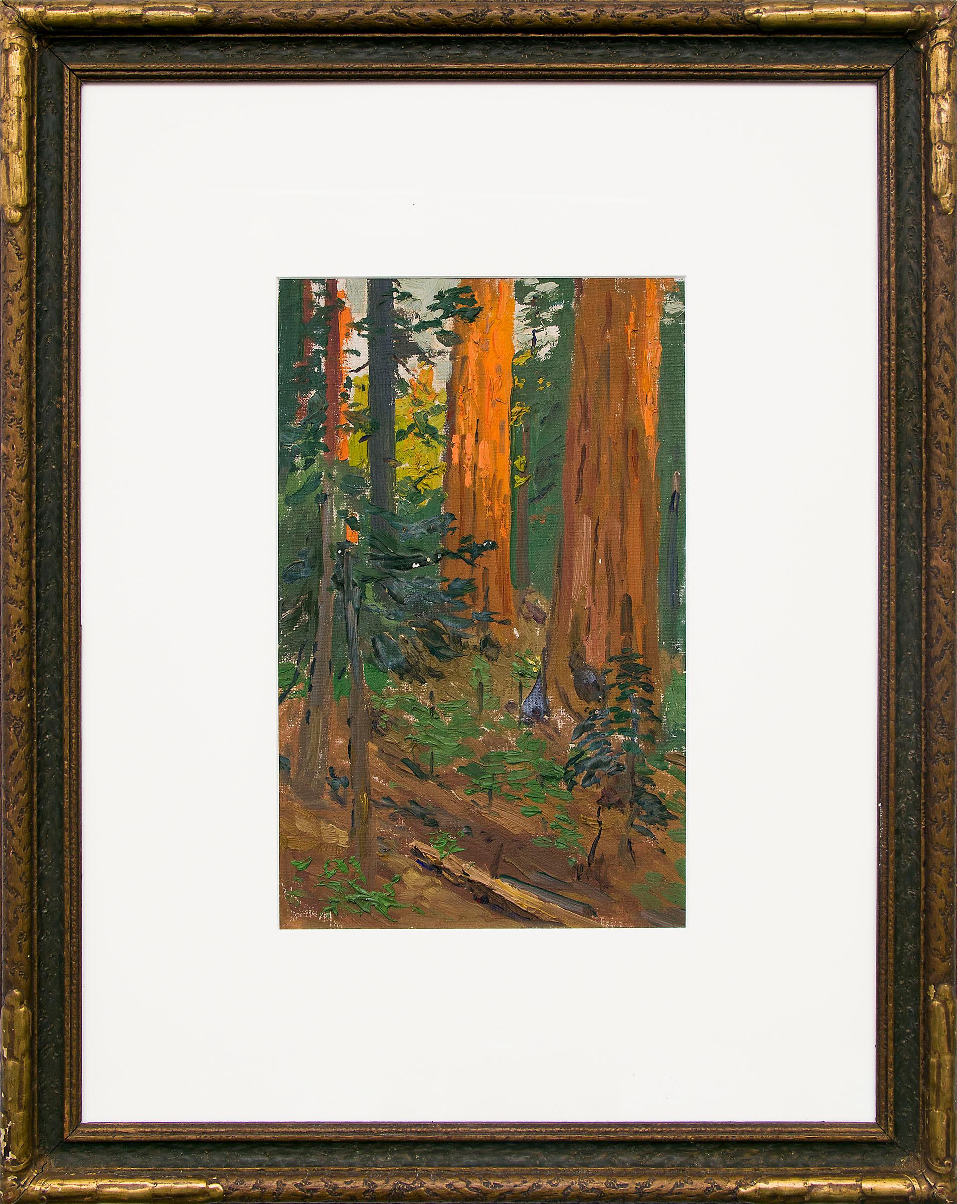 Charles Partridge Adams Landscape Painting - Interior Forest Scene with Redwood Trees, California, Landscape Oil Painting