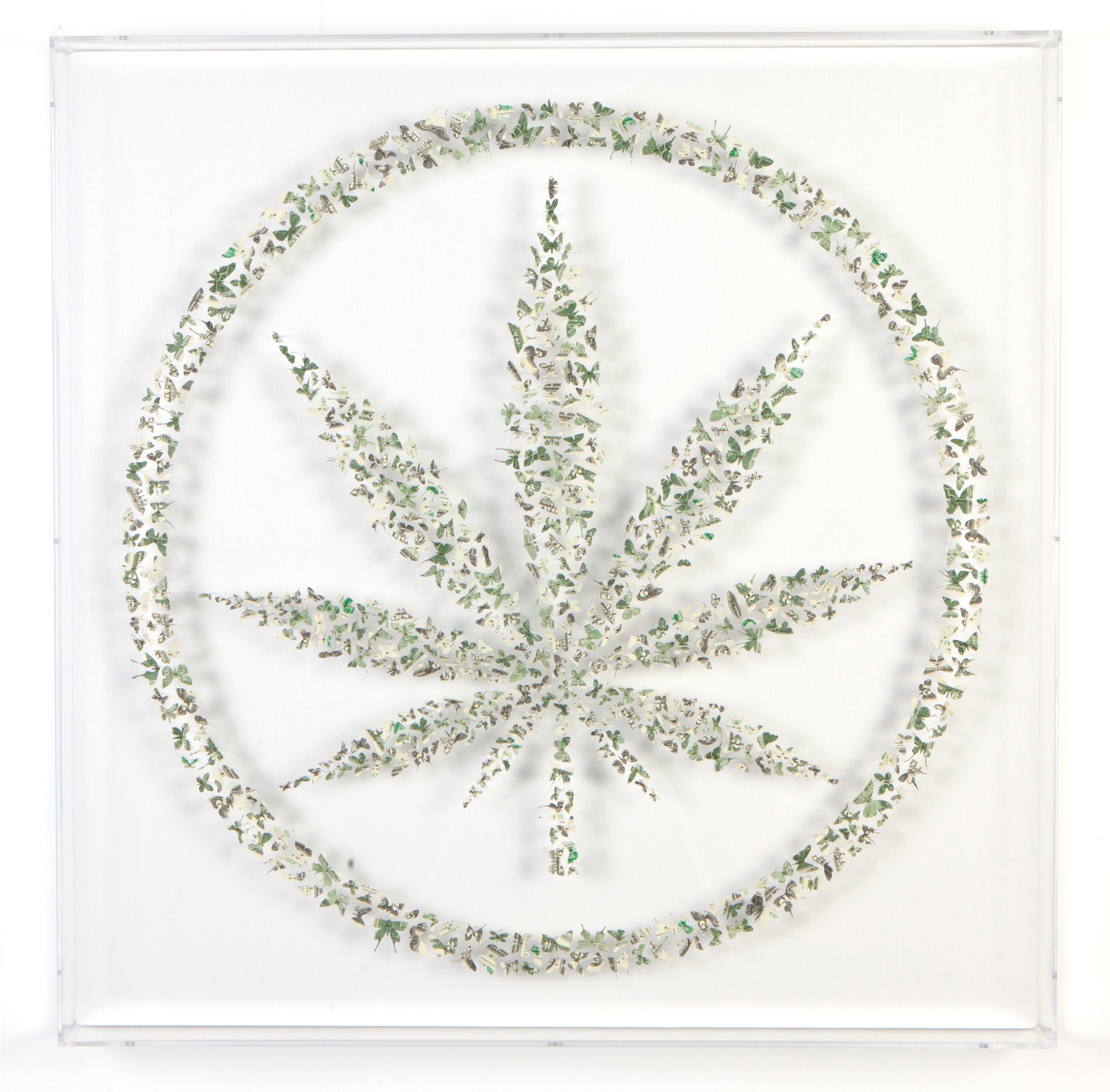 This work is sourced directly from the artist.
Butterflies cut from $2 bills, arranged in the shape of a pot leaf, and pinned with stainless steel entomology pins to canvas. Framed in a clear, plexiglass box.

Available Sizes (Framed Size)
Standard