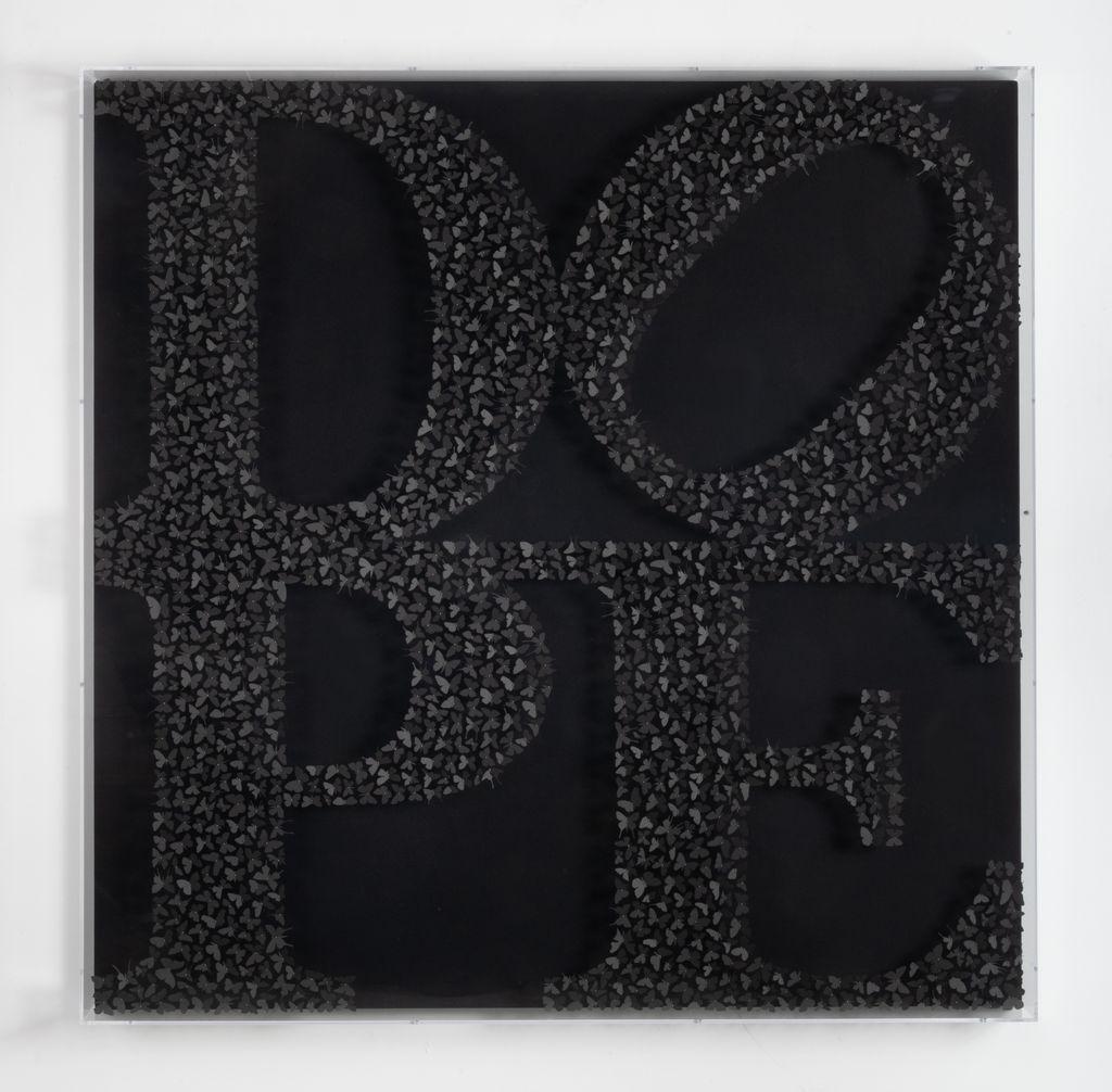 This work is sourced directly from the artist.
Butterflies cut from pigment dyed cardstock, arranged in the shape of the word DOPE and pinned with stainless steel entomology pins to black canvas. Framed in a clear, plexiglass box.

Available Sizes