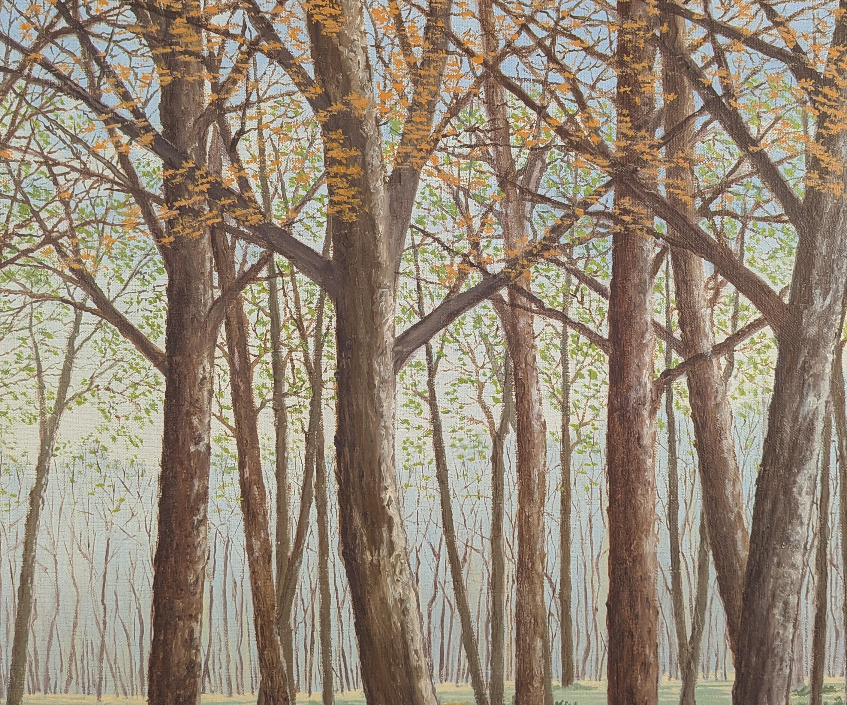 Foret Chantilly - Large Mid 20th Century French Naïf Wooded Landscape Painting For Sale 3