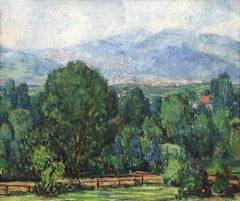 View from the Park Colorado Summer Mountain Landscape 20th Century Oil Painting