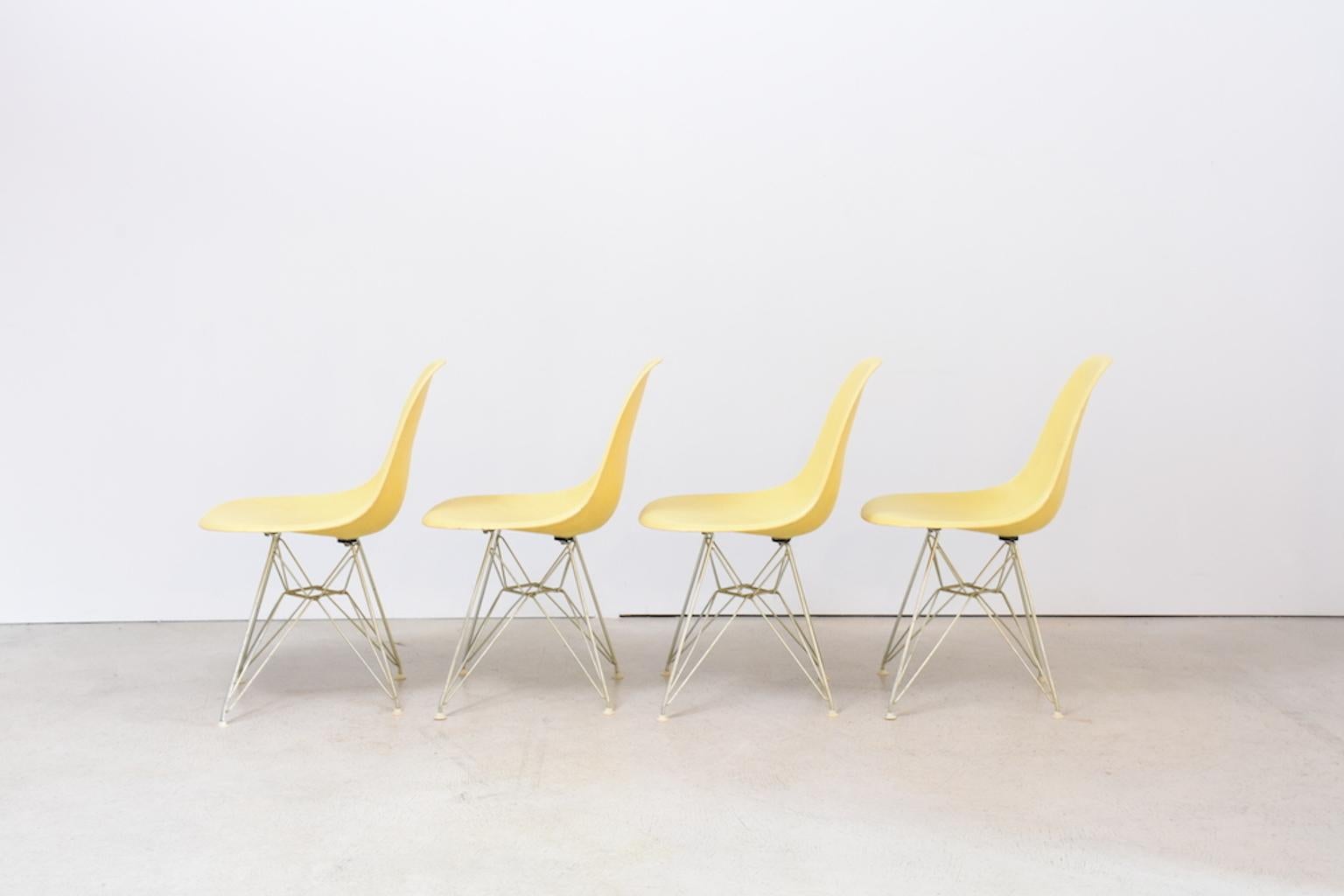 Set of 4 iconic DSW Dining Chairs by Charles & Ray Eames for Herman Miller in washed out yellow. Early edition in Zenith with Eiffel Legs. All four chairs are in good condition, each one is signed with Herman Miller patent label.
 