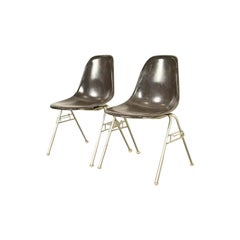 Charles & Ray Eames DSS Seal Brown Stacking Shell Chairs  Pair