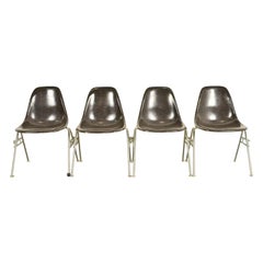 Charles & Ray Eames DSS Seal Brown Stacking Shell Chairs  Set of Four