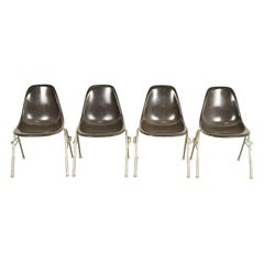 Charles & Ray Eames DSS Seal Brown Stacking Shell Chairs  Set of Four