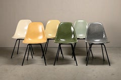 Charles & Ray Eames DSX multicolore set 8 sedie laterali per Herman Miller