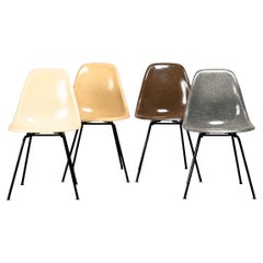 Charles
Ray Eames DSX Side Chair multicolor set for Herman Miller and Vitra Charles
Ray Eames DSX Side Chair multicolor set for Herman Miller and Vitra
