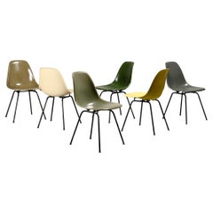 Dining Room Chairs