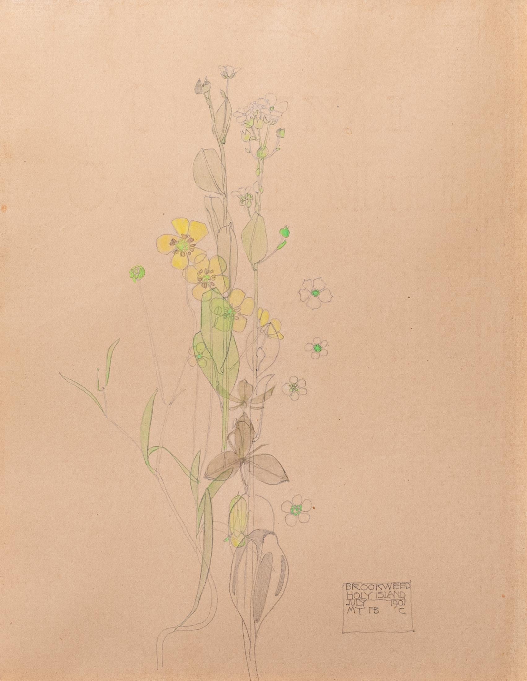 Art Nouveau "Brookweed" original floral watercolor by Charles Rennie Mackintosh