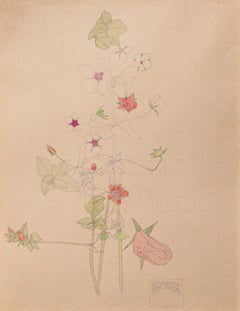 Antique Art Nouveau "Pimpernel" original floral watercolor by Charles Rennie Mackintosh