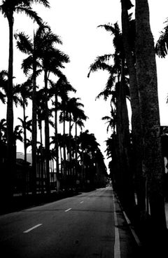 Entreé to Eden (Palm Beach)