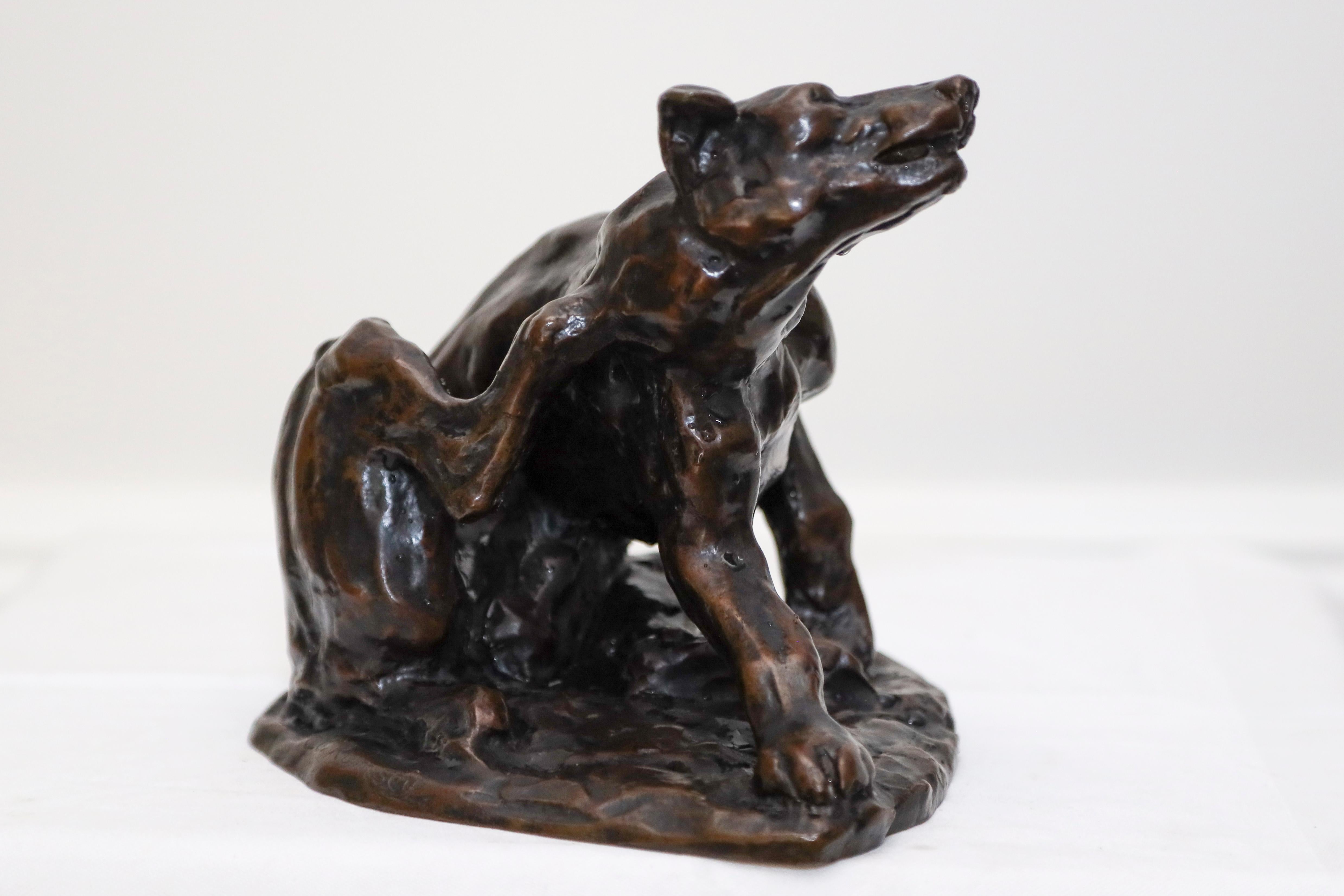 Dog Scratching Bronze of a Dog Scratching  - American Realist Sculpture by Charles Rumsey