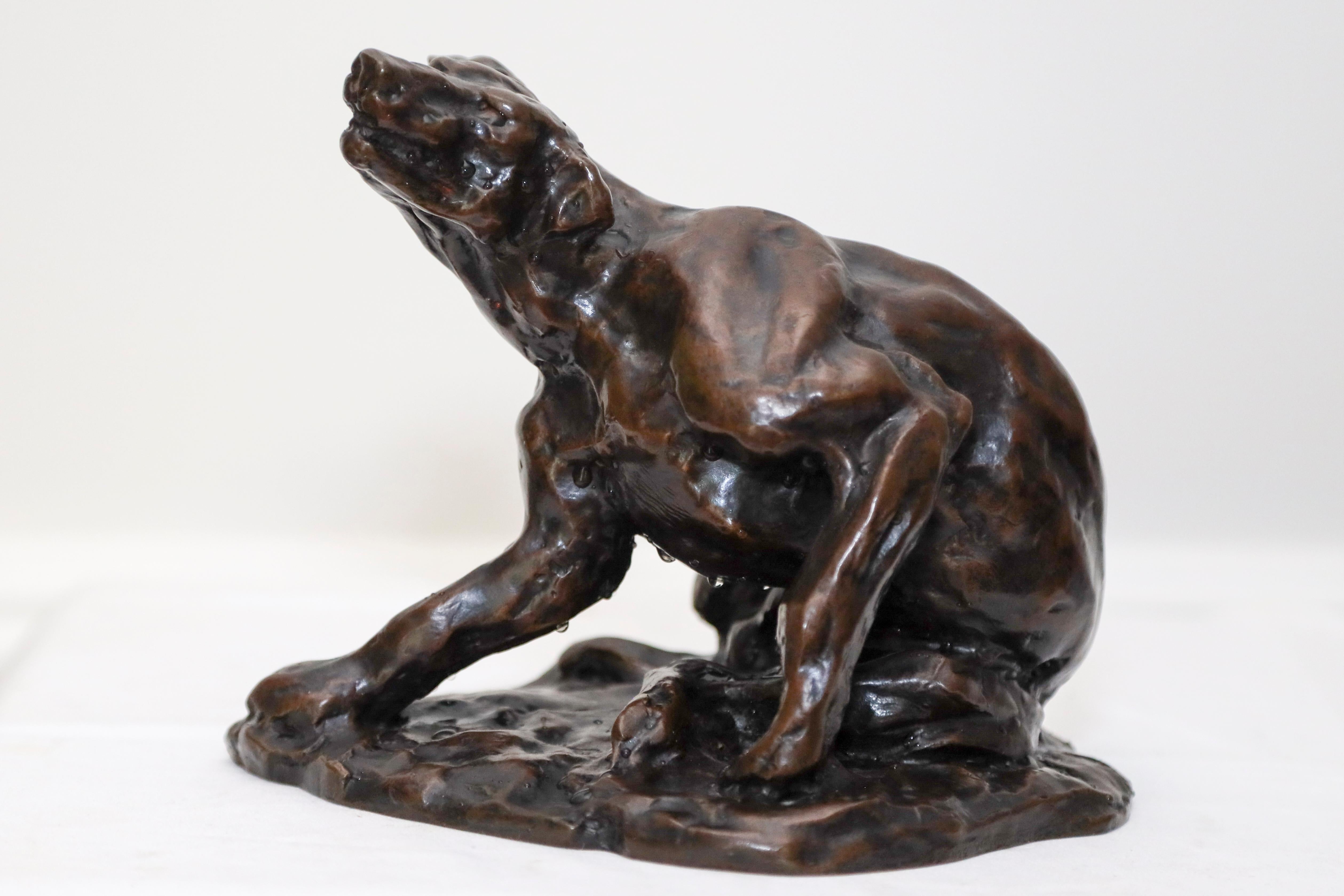 Dog Scratching Bronze of a Dog Scratching  - Gold Figurative Sculpture by Charles Rumsey