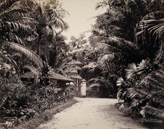 Eingang zu botanischen Gärten, Peradeniya, Ceylon, 1880