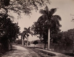 Lake Kandy, 1880