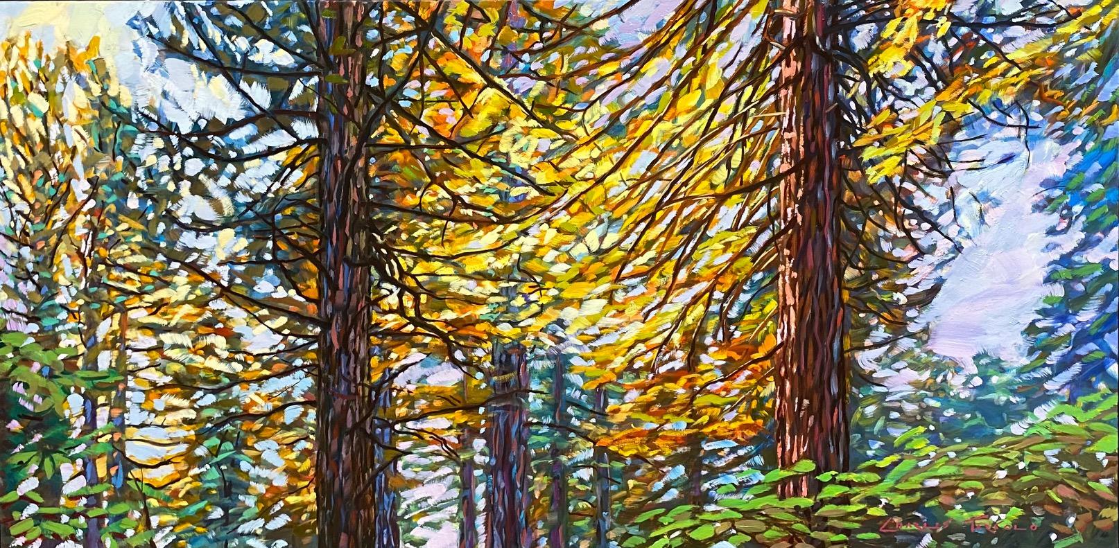 Paysage expressionniste original de 24x48 Muir Woods, Californie - Painting de Charles Tersolo
