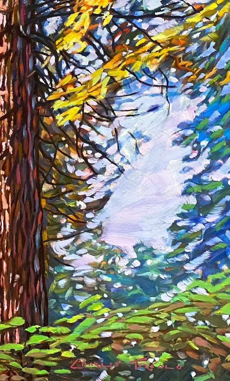 Paysage expressionniste original de 24x48 Muir Woods, Californie - Expressionniste Painting par Charles Tersolo