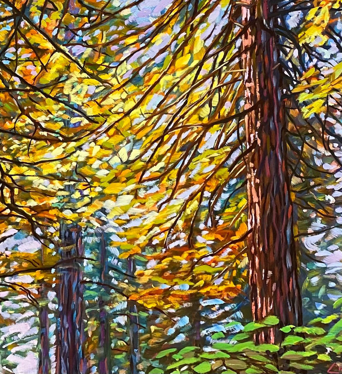 Paysage expressionniste original de 24x48 Muir Woods, Californie - Noir Landscape Painting par Charles Tersolo