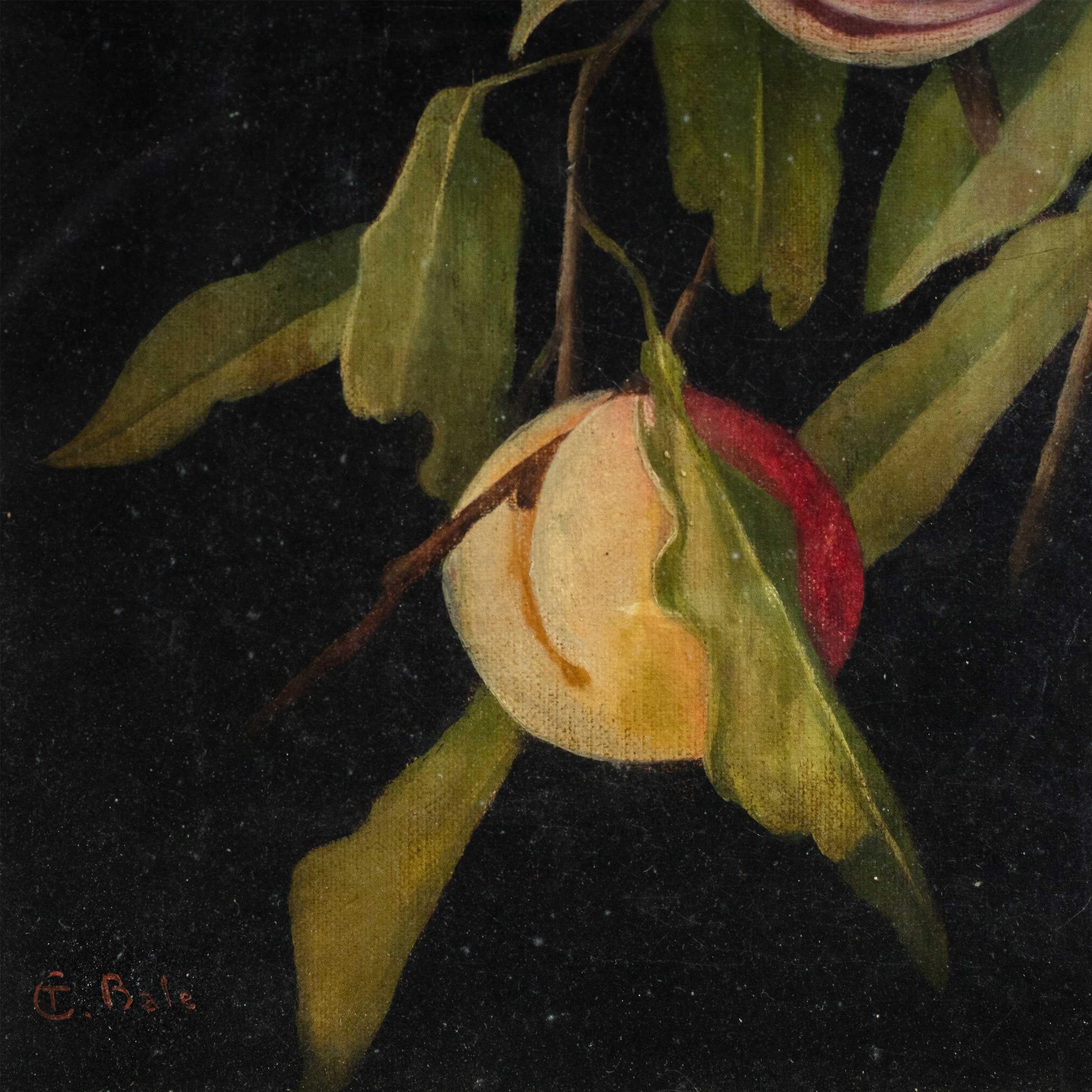 Charles Bale ( Britischer Maler) – Stilllebenmalerei des 19. Jahrhunderts – Pfirsiche – Painting von CHARLES THOMAS BALE