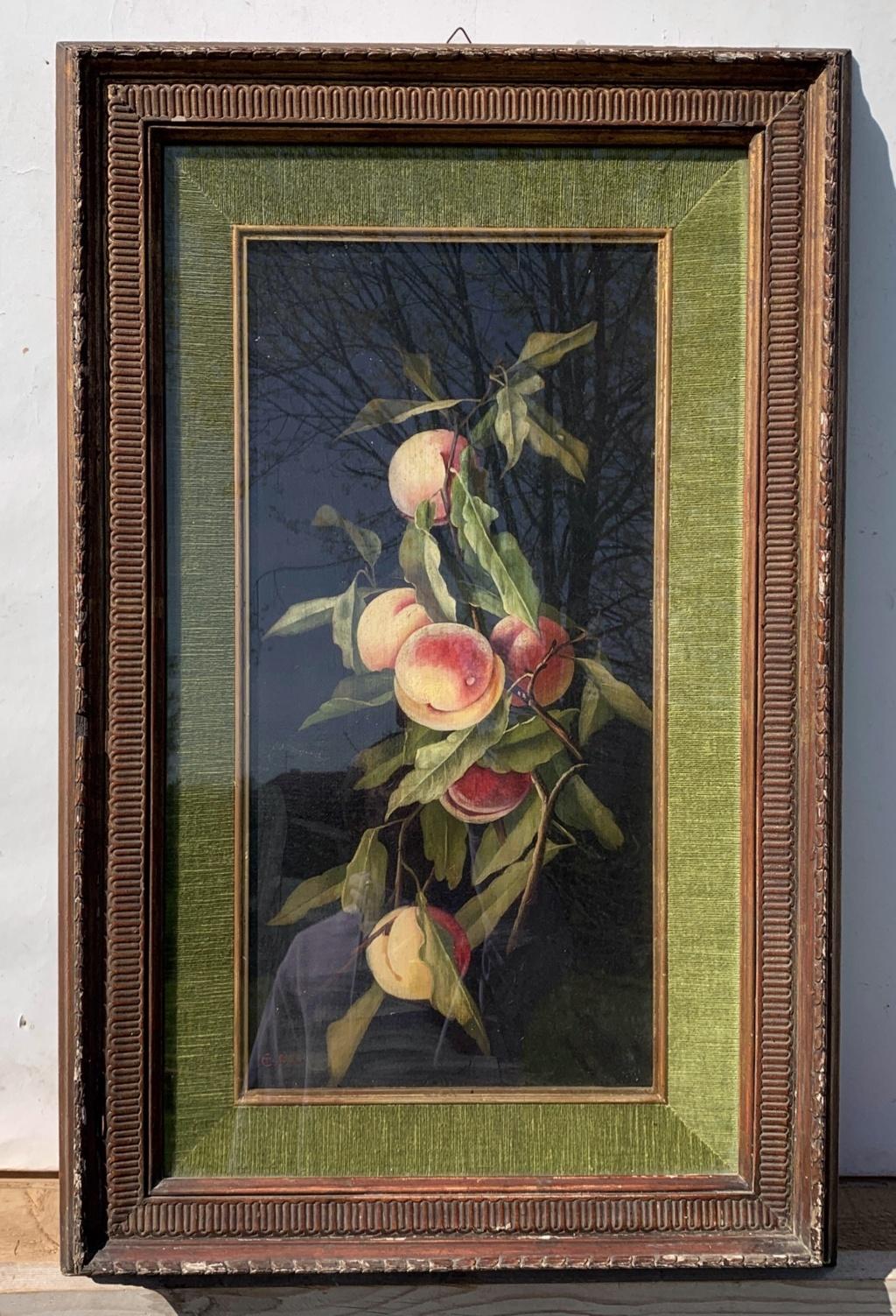 Charles Bale ( Britischer Maler) – Stilllebenmalerei des 19. Jahrhunderts – Pfirsiche (Schwarz), Still-Life Painting, von CHARLES THOMAS BALE