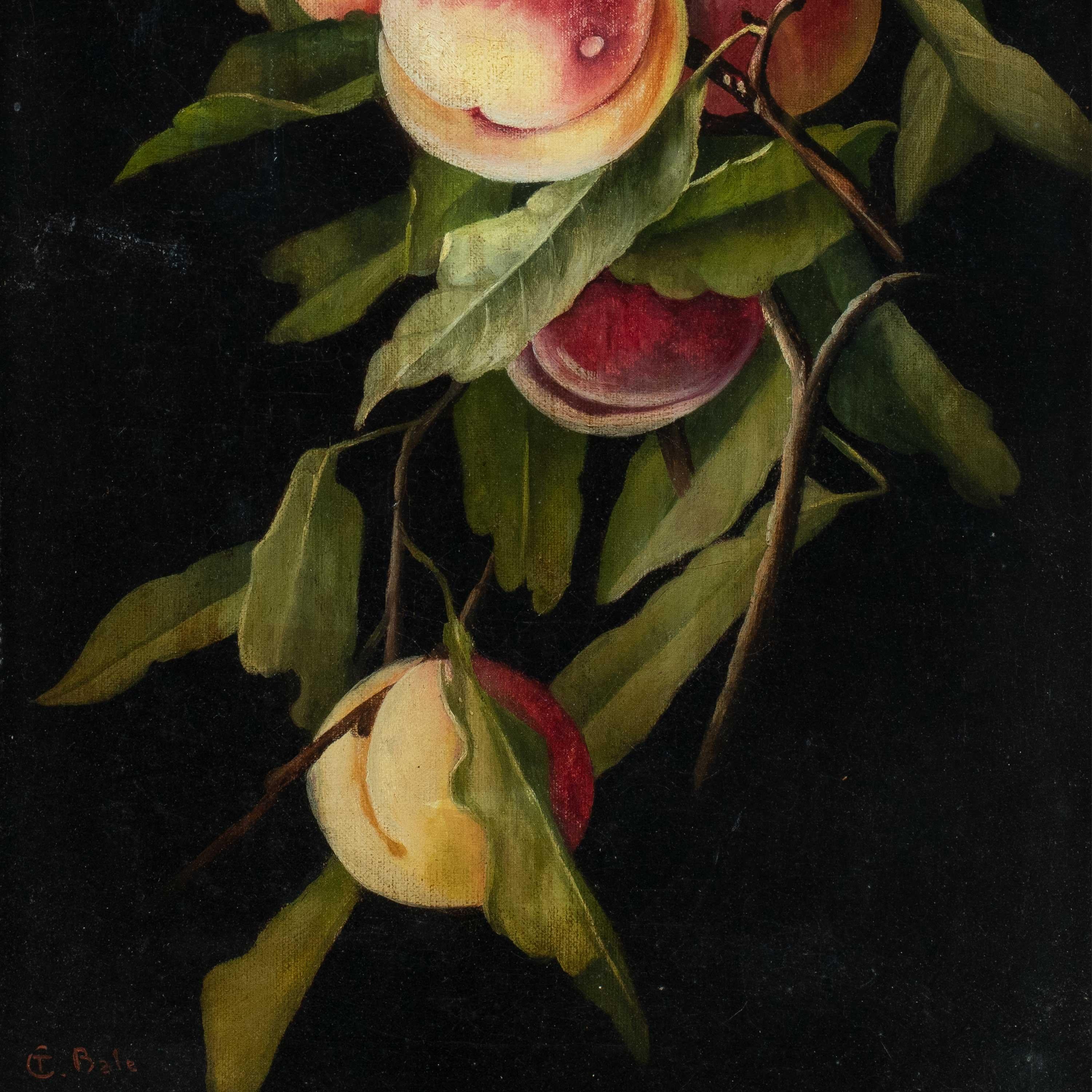 Charles Bale (British painter) - 19th century still life painting - Peaches For Sale 4