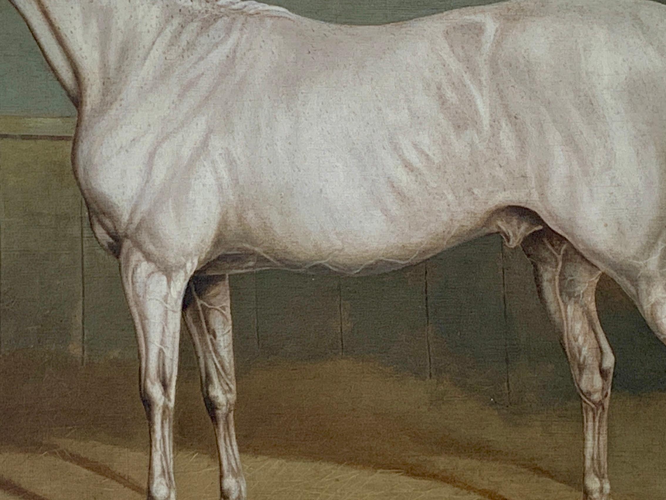 Portrait anglais du 19e siècle représentant un chasseur blanc/gris dans une écurie - Marron Animal Painting par Charles Towne