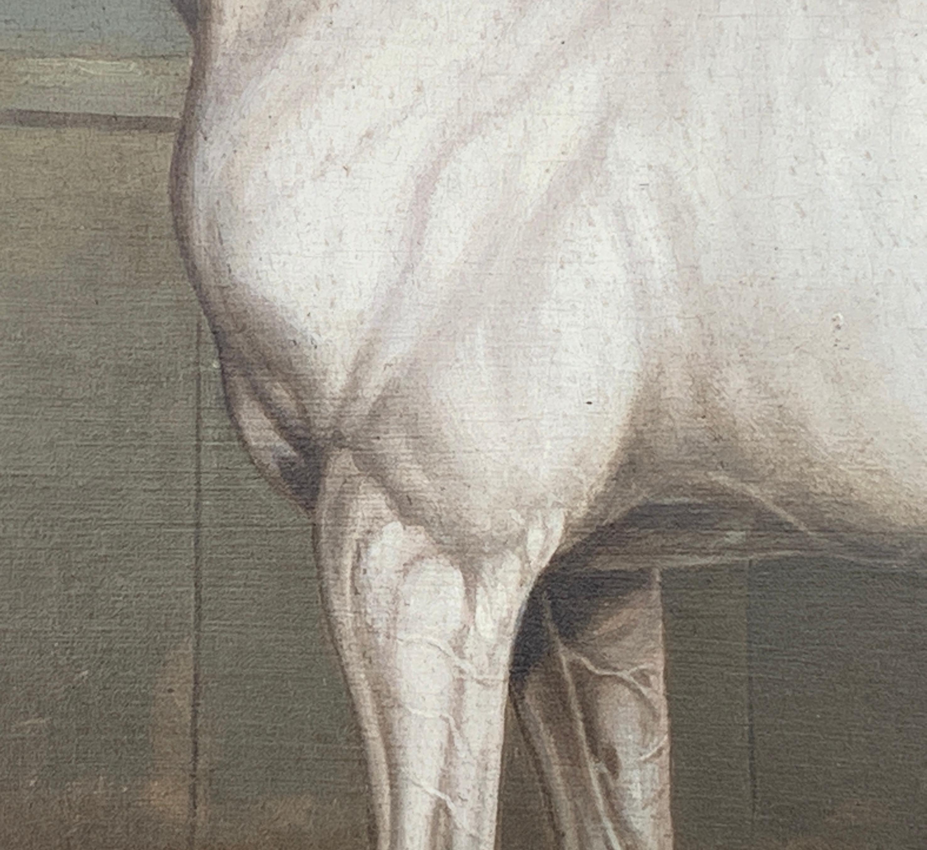 19th century English portrait of a White/grey hunter in a stable - Brown Animal Painting by Charles Towne