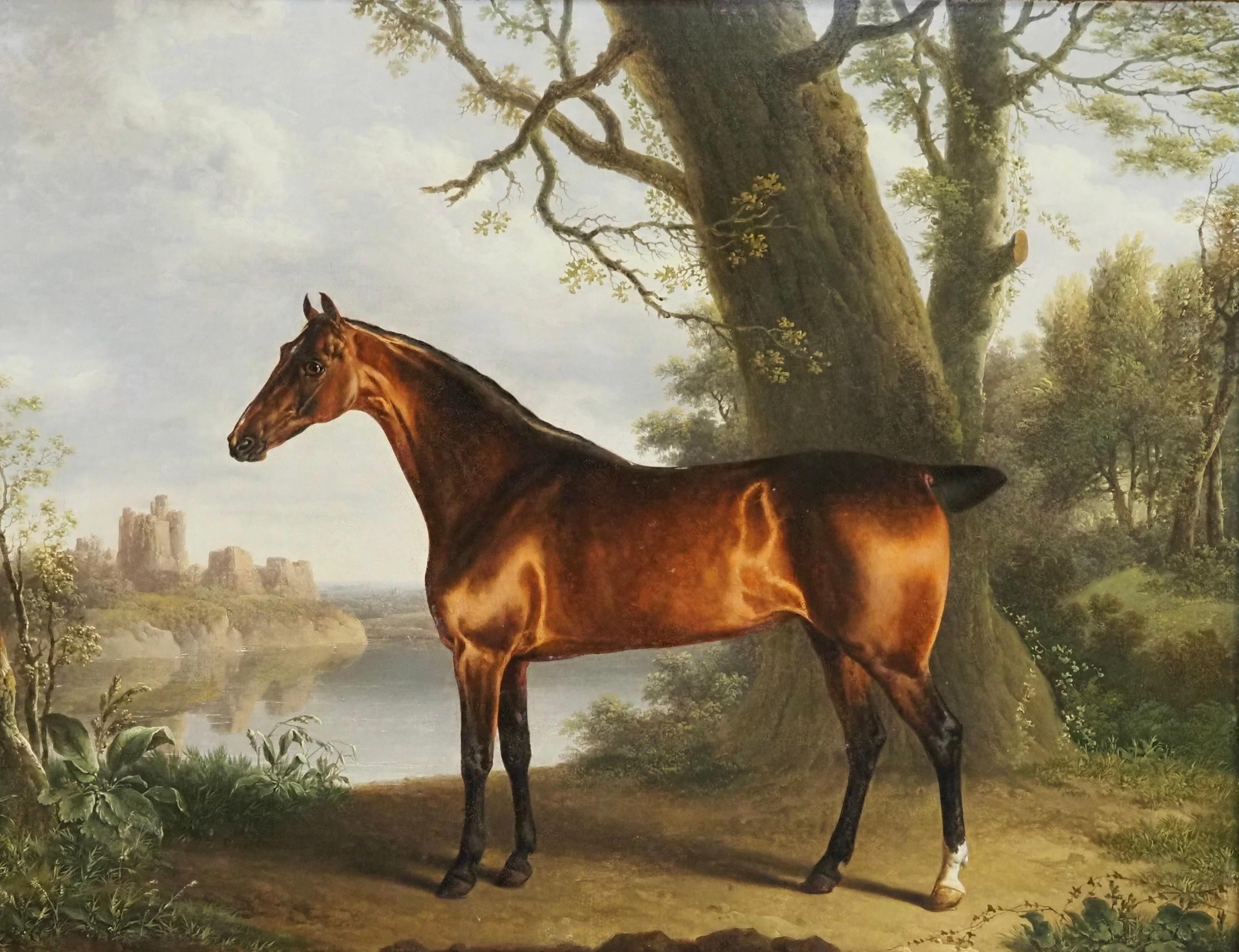 A bay hunter in a landscape - Painting by Charles Towne