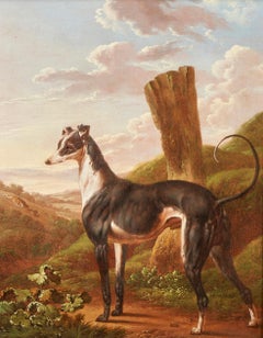 Un lévrier dans un paysage