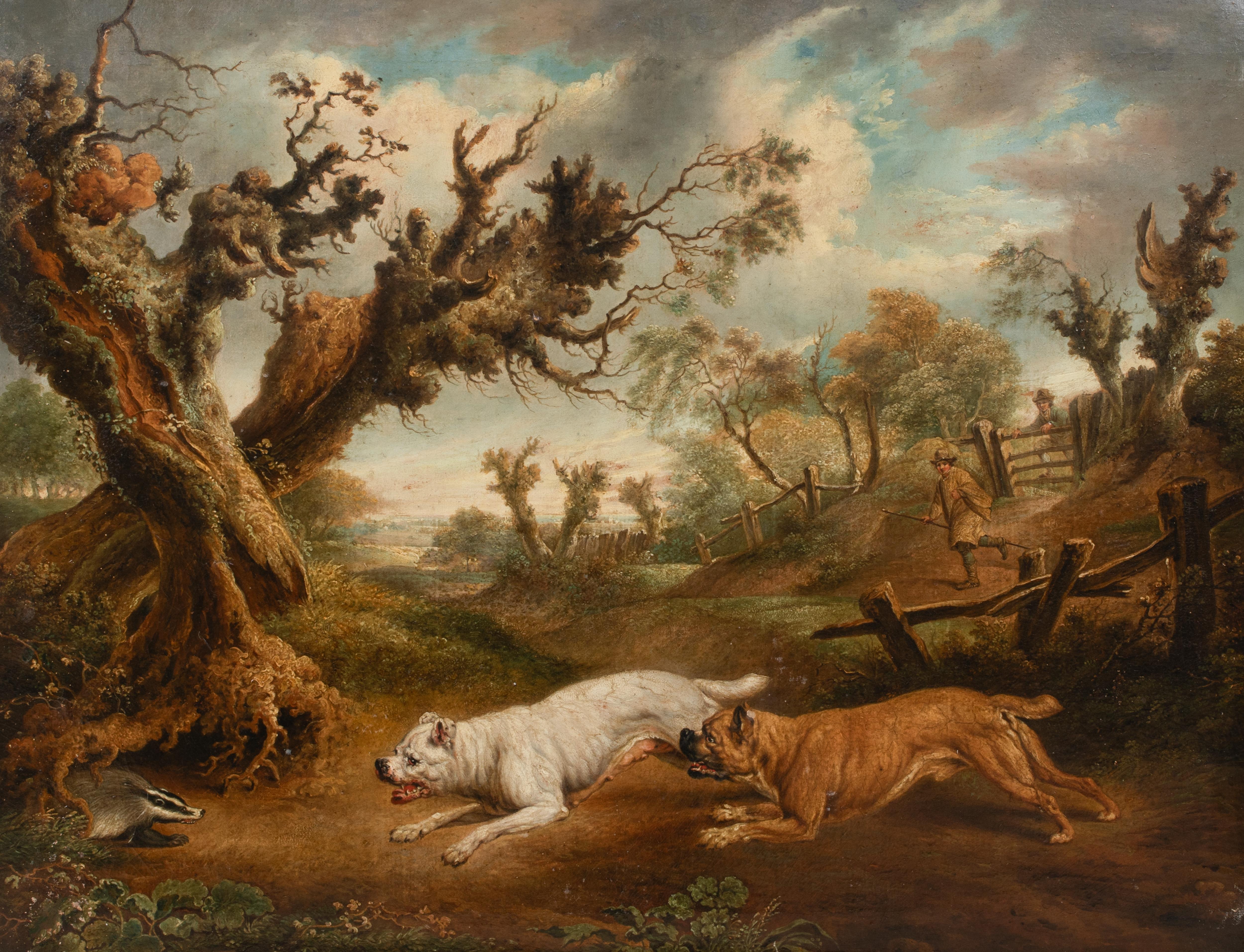Bulldogs Hunting A Badger, 18th Century 

attributed to Charles TOWNE (1763-1840)

Large 18th Century English School hunting scene of Bulldogs Hunting a badger, oil on canvas laid to board attributed to Charles Towne. Excellent quality and condition