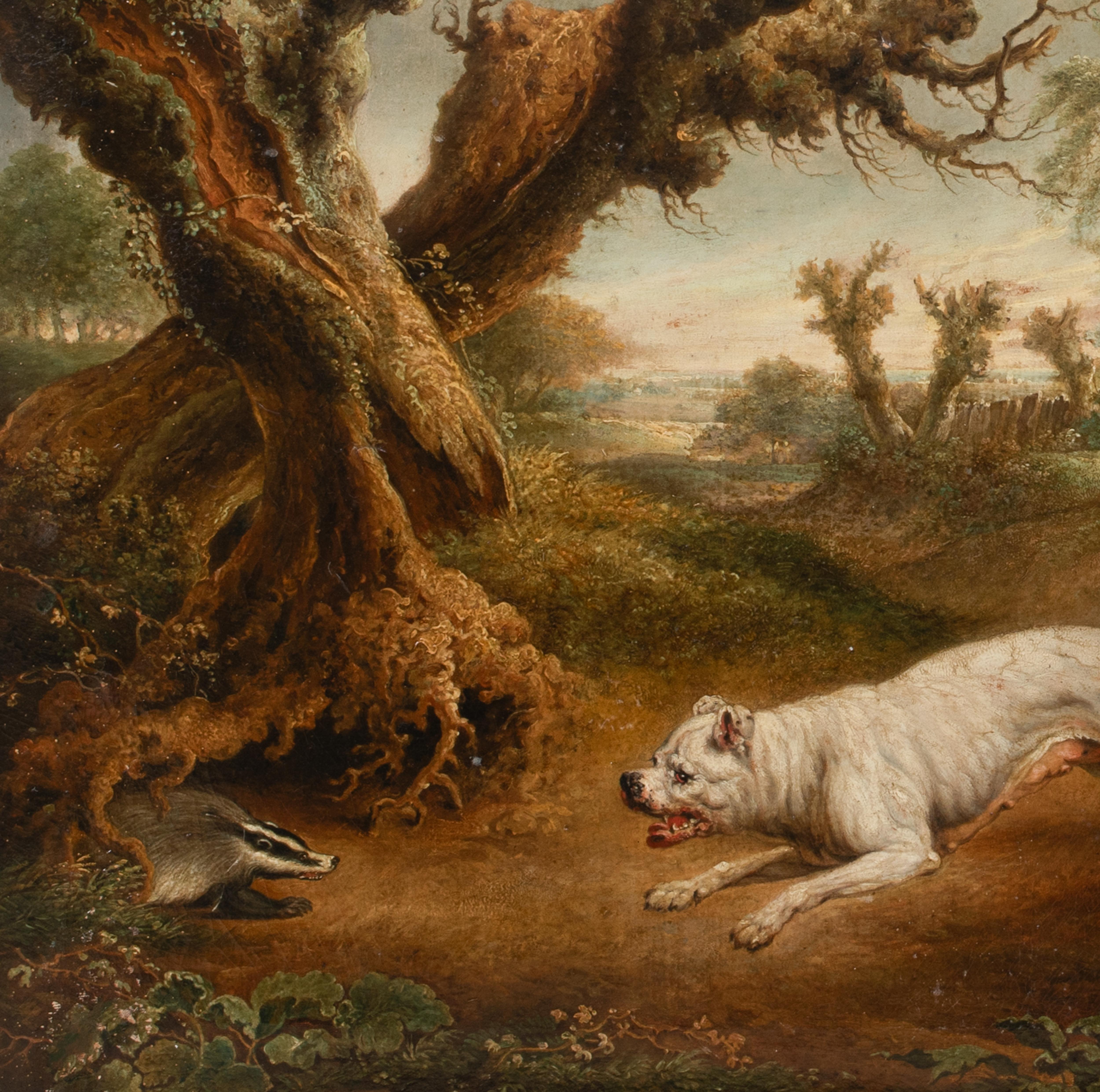 Bulldogs Hunting A Badger, 18th Century   attributed to Charles TOWNE (1763-1840 For Sale 2