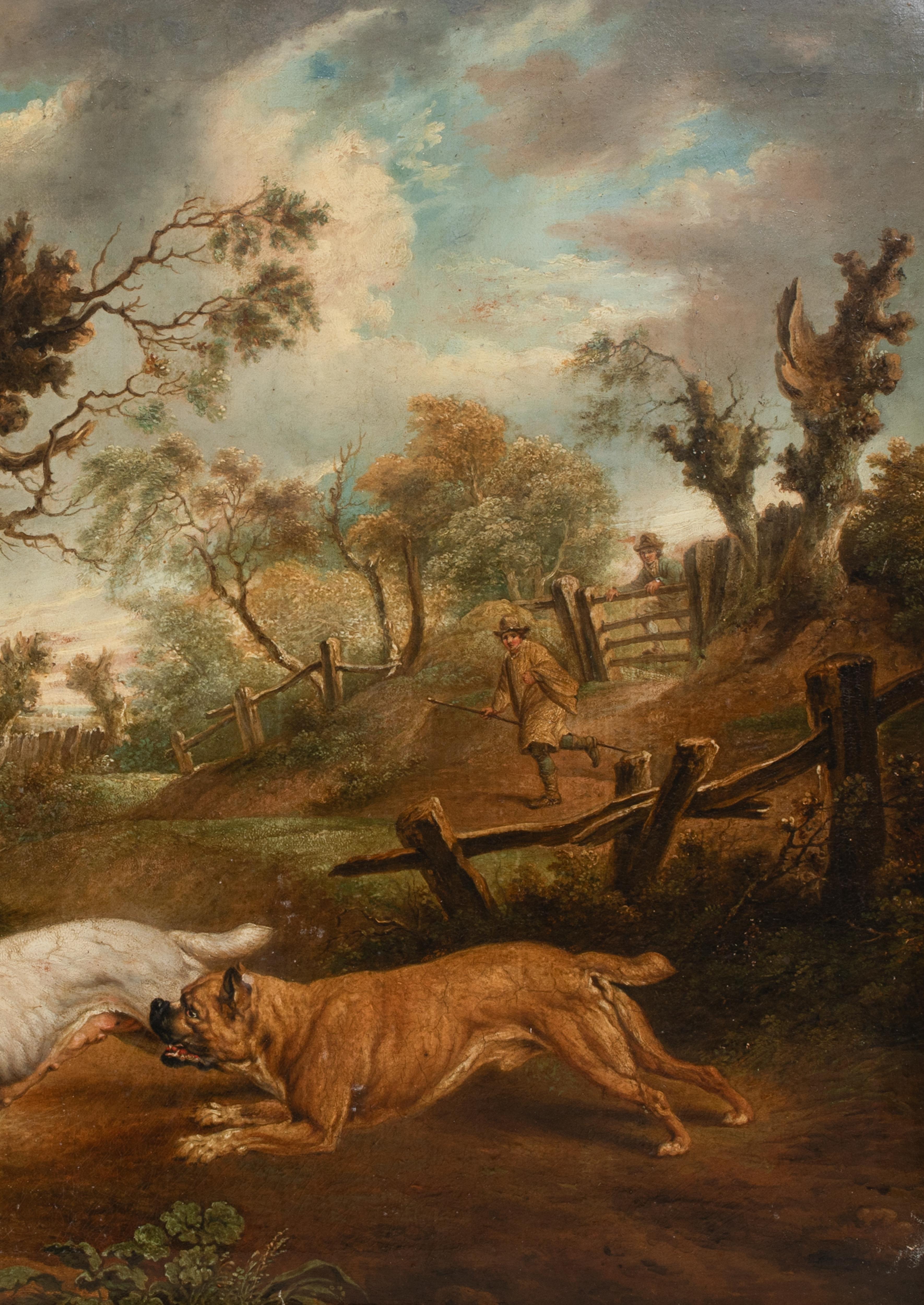 Bulldogs Hunting A Badger, 18th Century   attributed to Charles TOWNE (1763-1840 For Sale 6