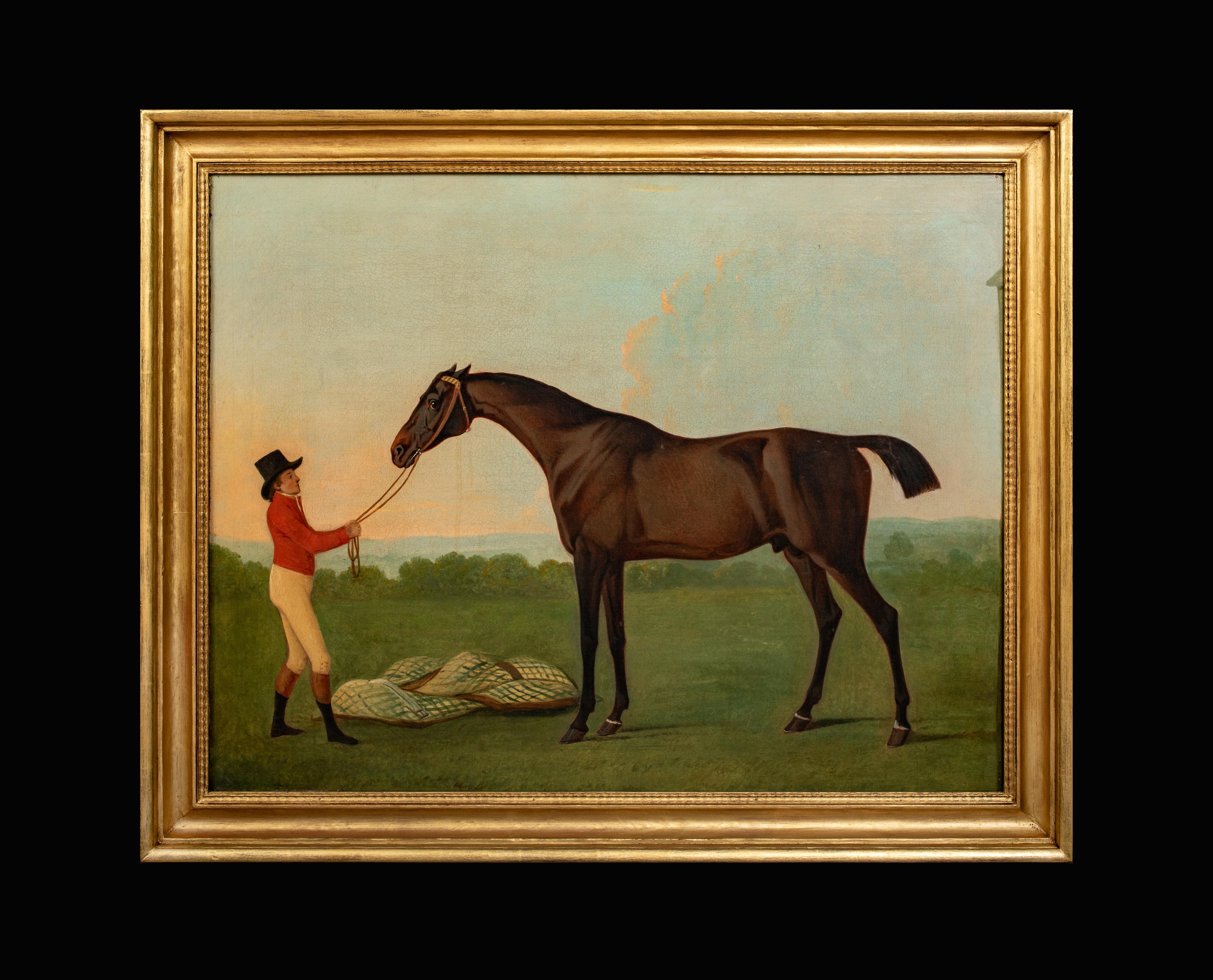 Ritratto dello stallone arabo preferito da Lord Crewe, XVIII secolo - Painting di Charles Towne
