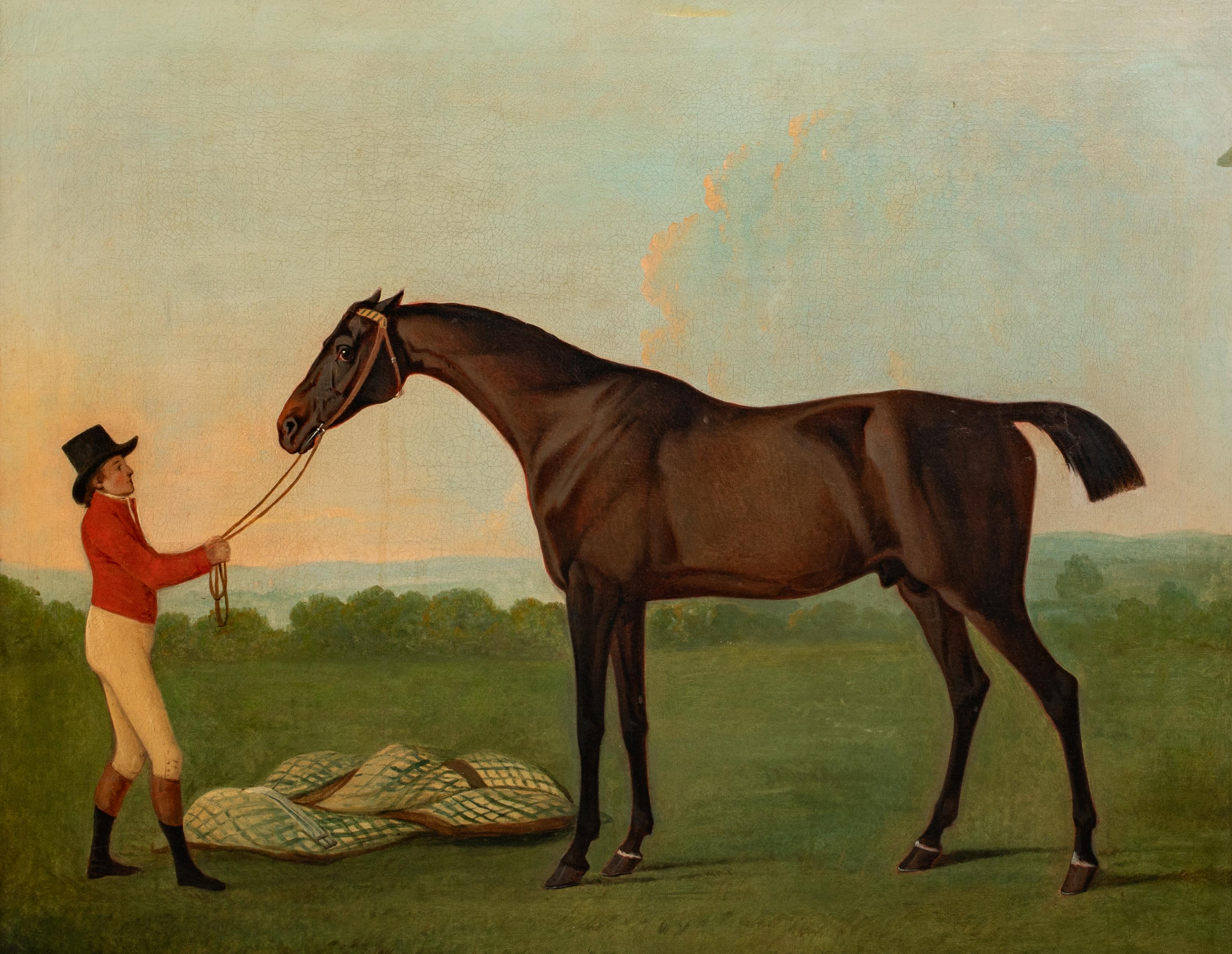 Ritratto dello stallone arabo preferito da Lord Crewe, XVIII secolo 

Cerchio di Charles Towne (1763-1840)

Grande ritratto inglese del XVIII secolo dello stallone arabo preferito da Lord Crews, olio su tela di Charles Towne. Ritratto equestre