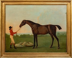 Portrait de l'estalon arabe préféré de Lord Crewe, 18e siècle